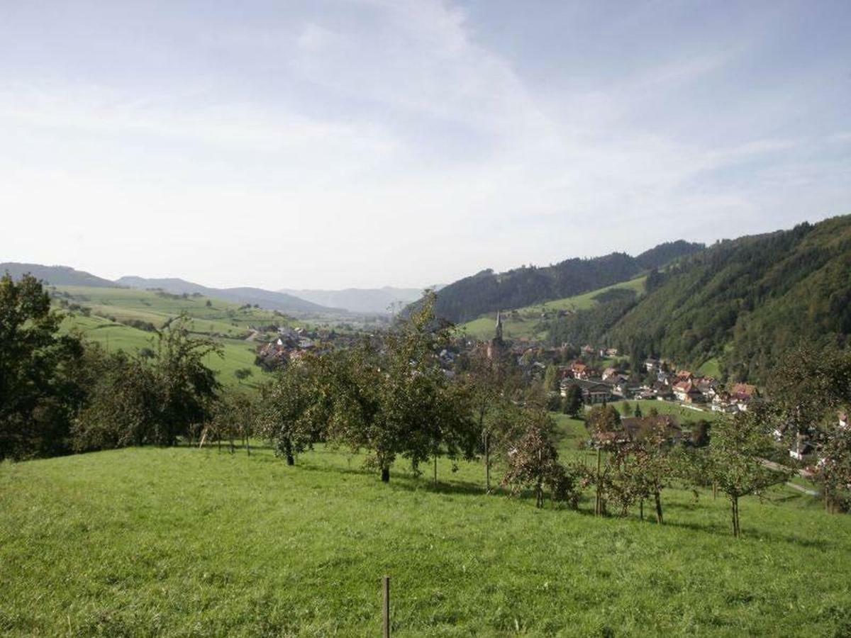 Pension Waldfrieden Oberharmersbach Bagian luar foto